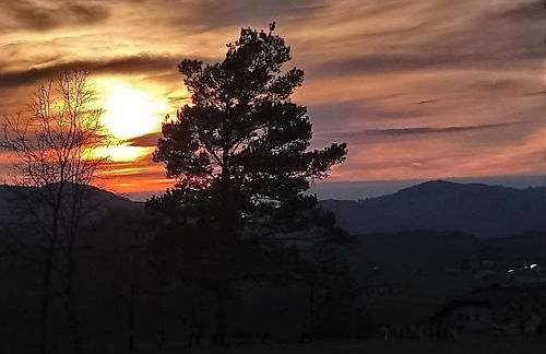 Ferienwohnung 37 Sonnenwald - Foto 12