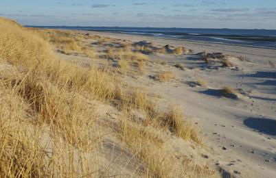 Reetdachhaus Webstube Foehr für 3 Pers und 1 Haustier - Foto 14