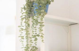 La Terraza Azul - las terrazas de la torre - regio murcia - Foto 20