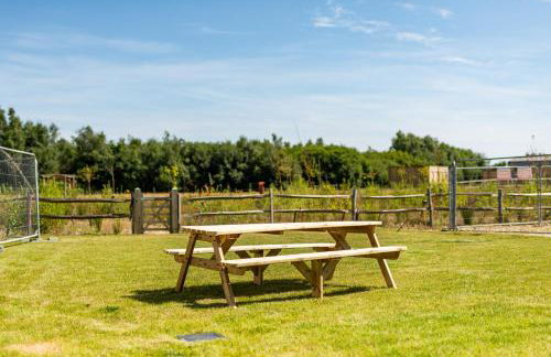 Meadow Hare SV06 Silverlake Dorset - Photo 38
