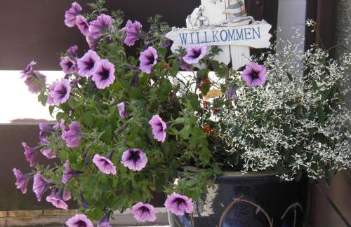 Appartement Kanew - Foto 10