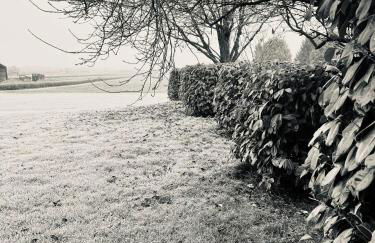 Boundary Stable - Foto 19