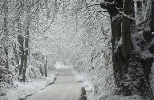 Lesne Domki VIP - Foto 51