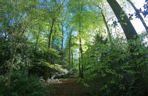 The Organic Cotswolds Cowshed - Photo 30