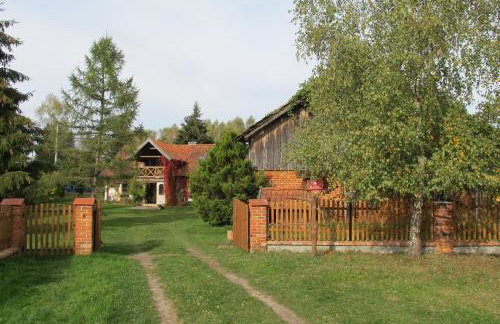 domki na leśnej polanie - Foto 43