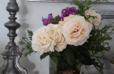 Finca La Rinconada - Foto 19