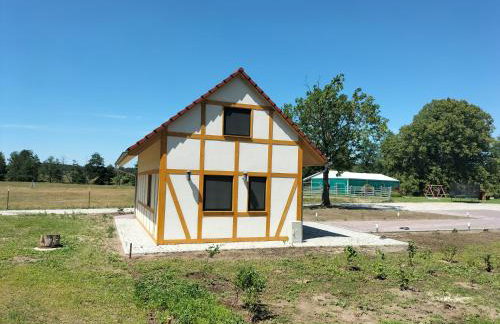 Gutshof Dragefeld - Foto 60