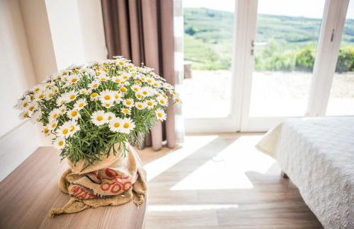 Agriturismo Casa Zen - Foto 8