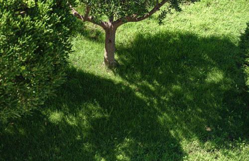 SIDRO Apartments - Foto 62