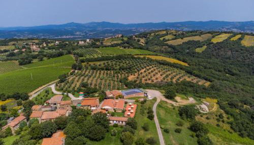 Holiday Home Grotte Rosse by Interhome - Foto 5