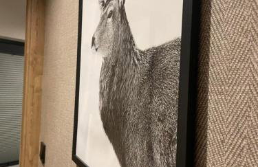 Trzy Szyszki Maniowy Domki Jezioro Czorsztyńskie Balia oraz Sauna w cenie - Photo 66