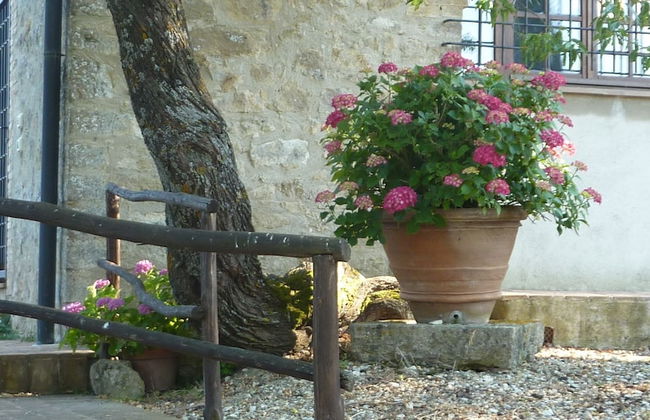 Bellavista farm of Quercini Maurizio - Foto 11