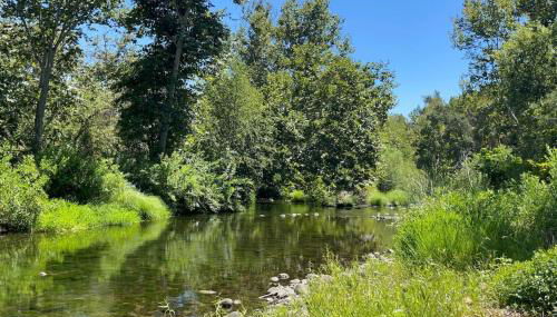 Tranquil Riverfront Studio - Foto 5