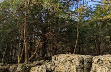 Field Edge Barn - Photo 12