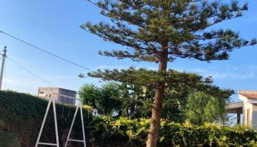 Casa Orchidea Castelluccio - Foto 4