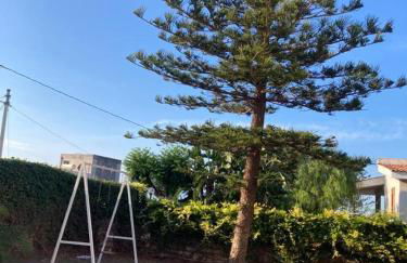 Casa Orchidea Castelluccio - Foto 4