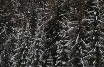 Agriturismo La Daga Nature Lodge - Foto 67