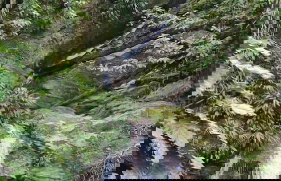 Restorations Tobago - Photo 68