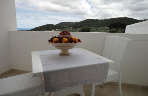 Masseria Santa Teresa - Foto 88