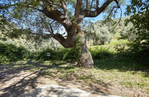 Cortijo el Soto - Foto 36