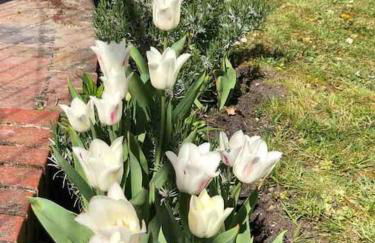 Private room in Misburg, Hanover - Foto 14