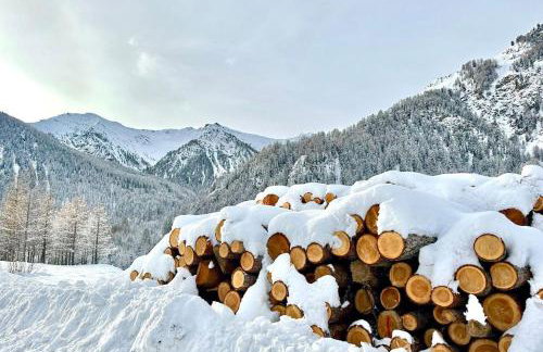 Casa-La Carotto Appartement pour 6 dans chalet - Foto 32