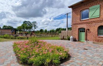 Ferienwohnung „Backhuus“ - Hof Mühlenkoppel - Foto 47