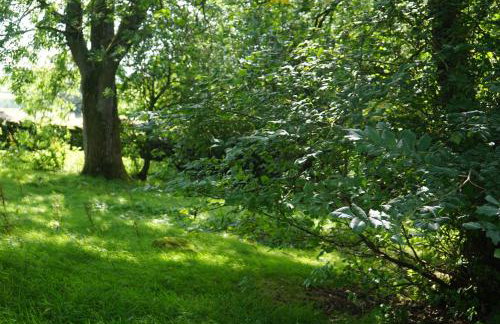 Elishaw Farm Holiday Cottages - Foto 70