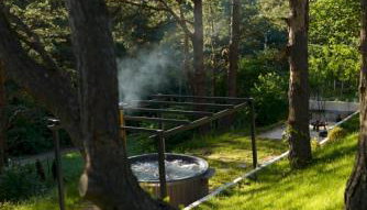 Leśny Duet - Foto 2, Garden view