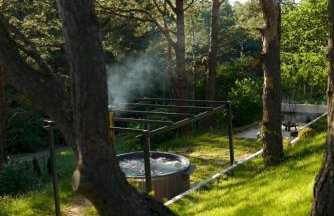 Leśny Duet - Foto 2