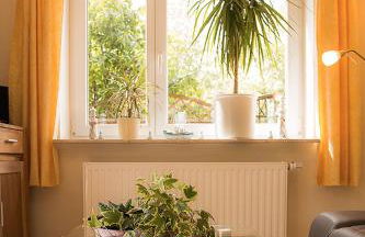 Familie Schwantes - Photo 6