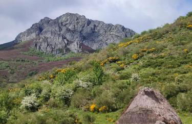 Casas Rurales Las Corradas - Foto 55