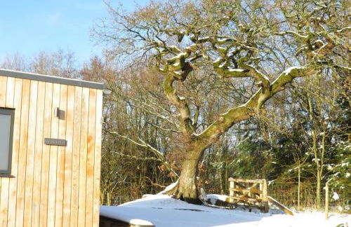 The Lodges at Thornbrook - Foto 18