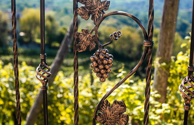 Vineyard Holiday House Kerin - Foto 19