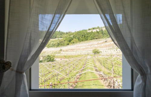 Agriturismo Pietra Sorgente - Photo 24