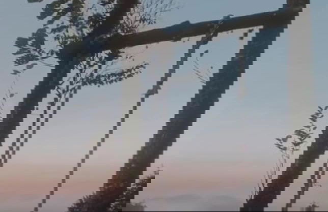 Geldun Mi Suit Bungalov - Foto 7