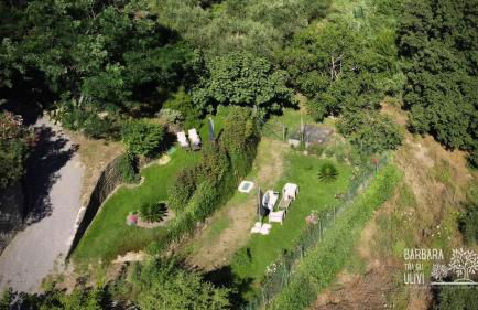 Barbara tra gli Ulivi - Foto 51