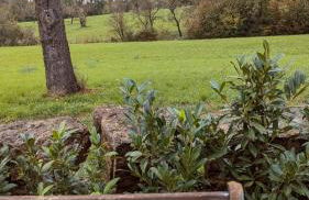 Idyllisches 2-Zimmer-Apartment - Foto 24