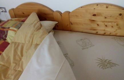 Agriturismo il Podere Vedelago con San Bernardo, Alpaca e una Pentola di cose da scoprire - Foto 36