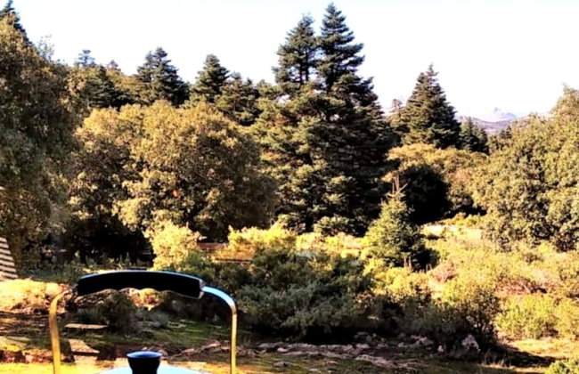 Senderismo por la Sierra de las Nieves - Foto 6