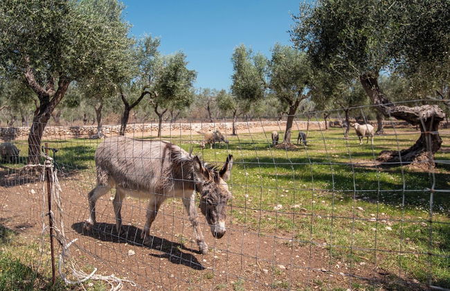 3888 Villetta tra Mari e Monti by Barbarhouse - Foto 40