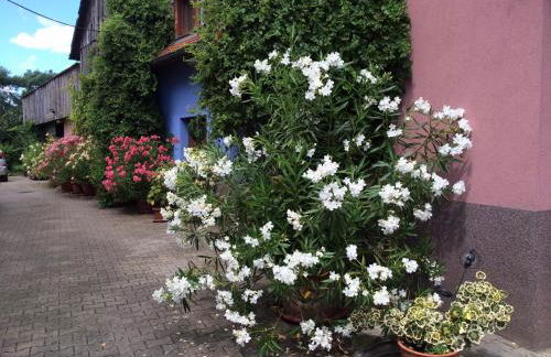 Gite Du Rittersberg - Foto 35