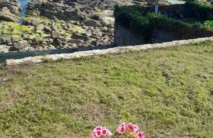 Casiña Palmira - Foto 28