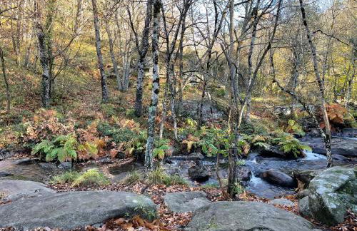 Borie Grande - Foto 15