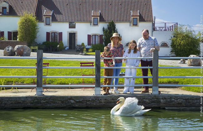 Alex Factory - Foto 40