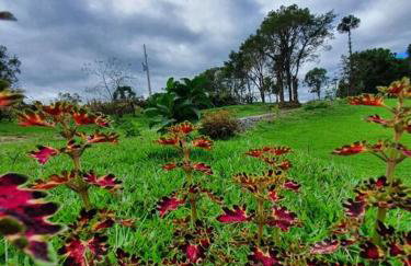 Rancho 4 Corações - Photo 54
