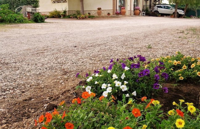 Agriturismo La Lestra - Foto 23