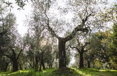 Il Fienile di Tigliano - Foto 35