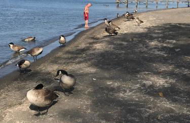 Sogno sul lago - Foto 40