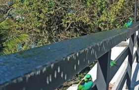 Apartamento Ubatuba Vista para o Mar - Foto 22